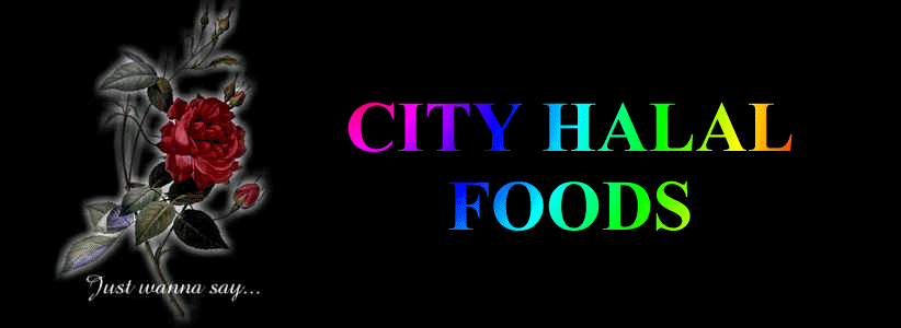City Halal Food Logo (11539 bytes)